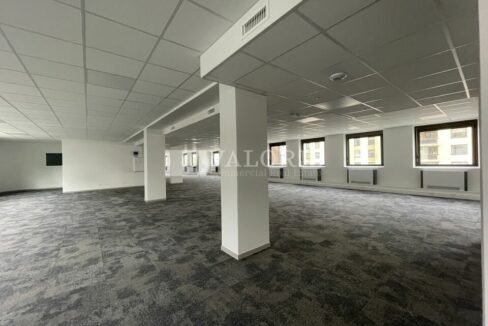 485584481_69_002829_13