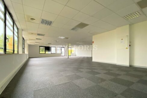 599536873_69_004851_5