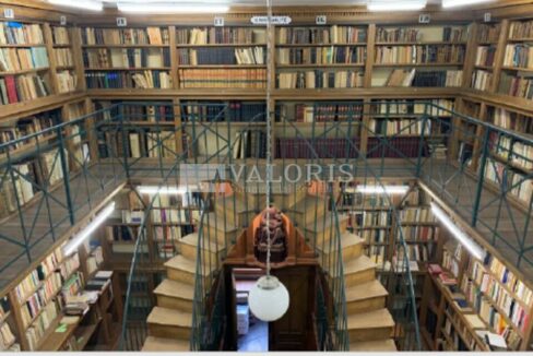 668508650_69_009316_4