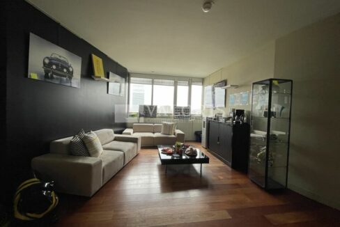 913218821_69_007710_5