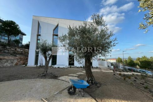 089879215_13_000207_11