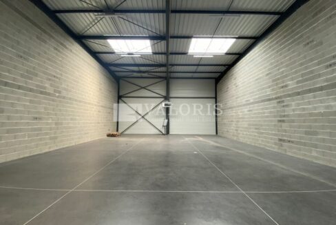 040506304_69_006590_4