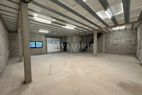 429685519_13_000101_2