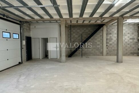 429686911_13_000101_3