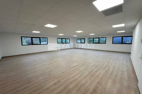 429689635_13_000101_5