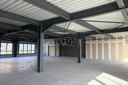 118000619_69_005732_2