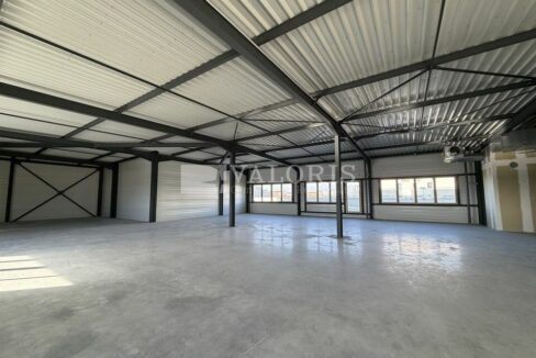 118026621_69_005732_4