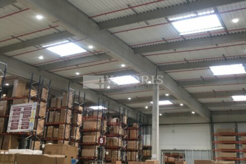 184461273_13_000085_5