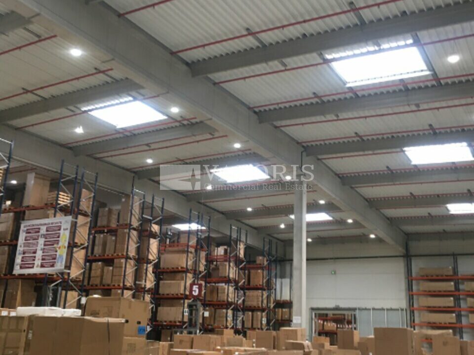 184461273_13_000085_5