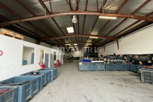 203828019_13_000277_6