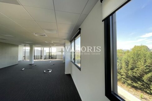 262041146_69_007063_1