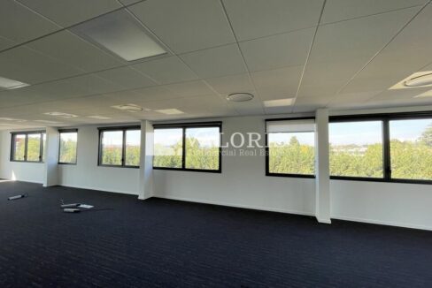 262062318_69_007063_5