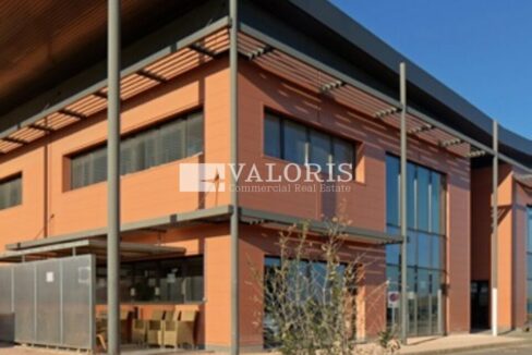 353091050_13_000085_1