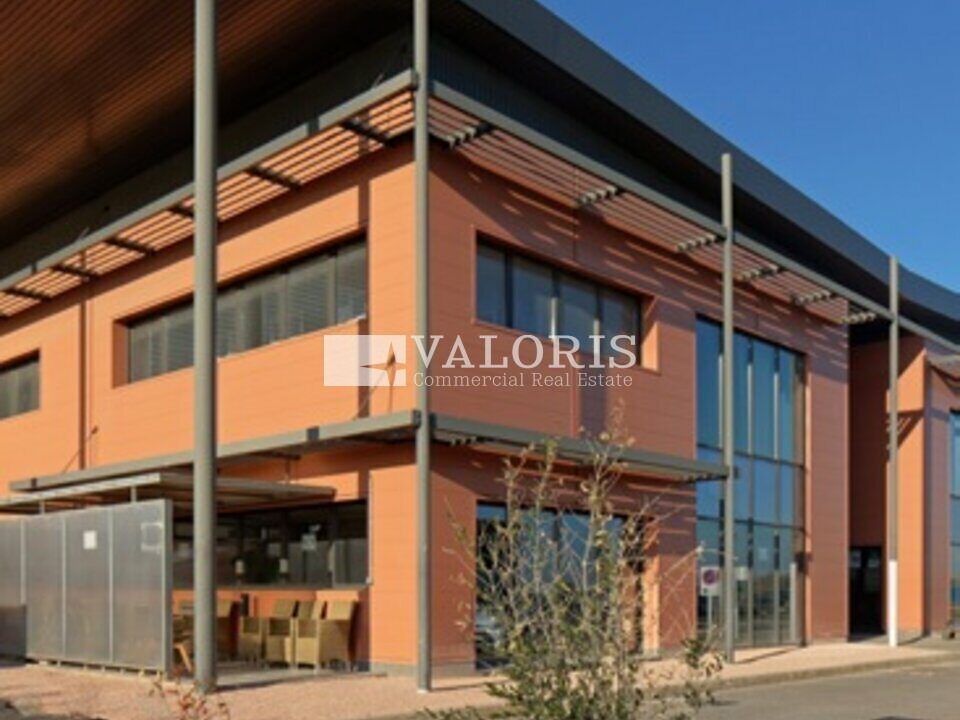 353091050_13_000085_1