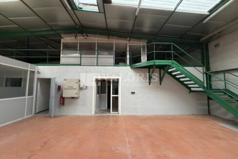 381023162_69_009124_5