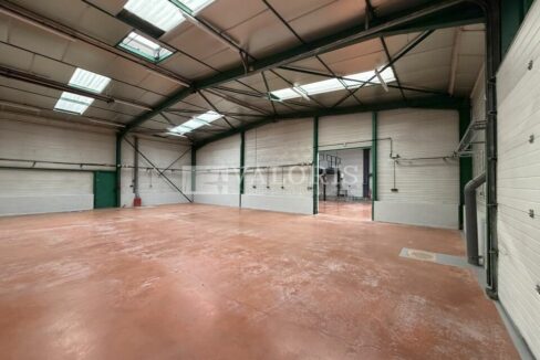 381037339_69_009124_6