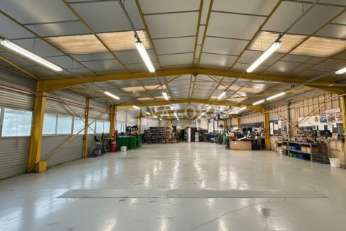 411953275_69_009749_3