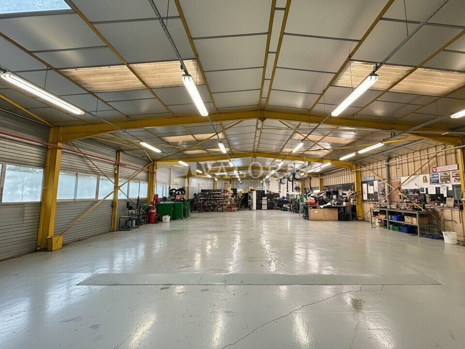 411953275_69_009749_3