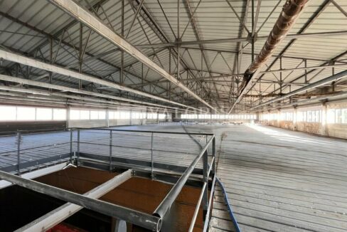 618814006_13_000238_6