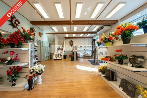 739931872_69_009711_2