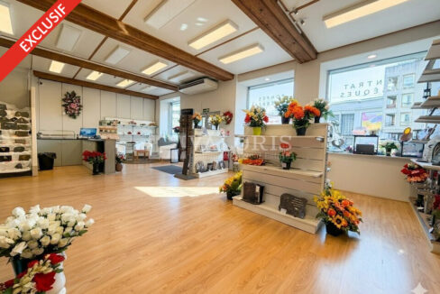 739936651_69_009711_5