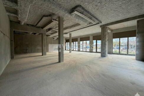 774979469_69_009747_6