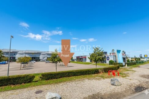 807380115_69_009735_1