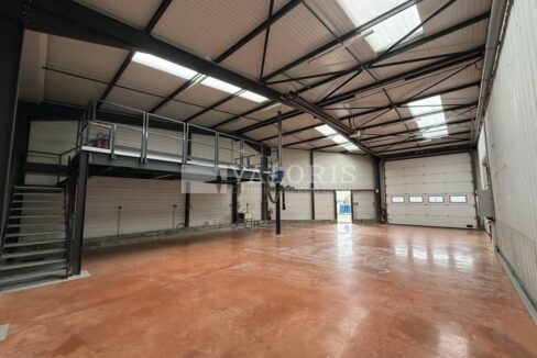 814799156_69_009124_2