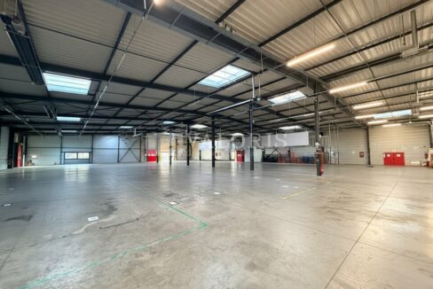 905501039_69_009656_4