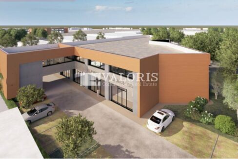 905698755_13_000161_4