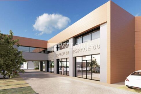 905699504_13_000161_5