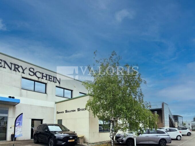 Bureau de 900m&sup2; à la location