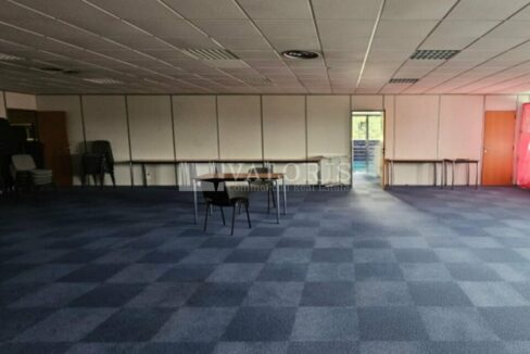 036704421_69_009123_2