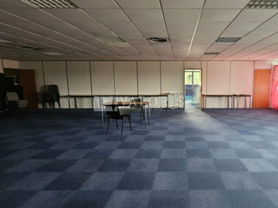 036704421_69_009123_2