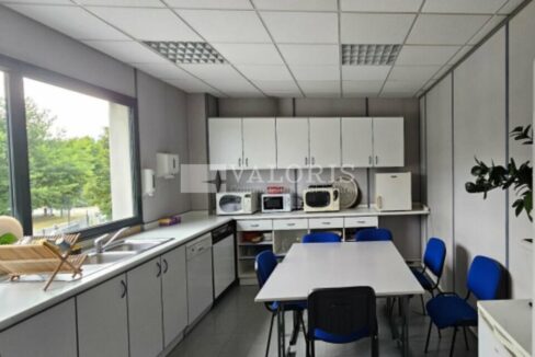 036707937_69_009123_5