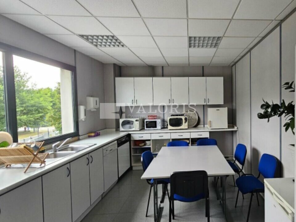 036707937_69_009123_5