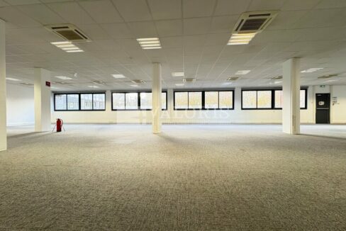 294169226_69_009482_4