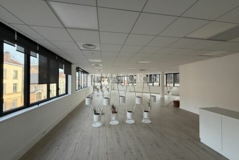 359728816_69_009633_4