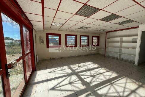 425567365_13_000262_6