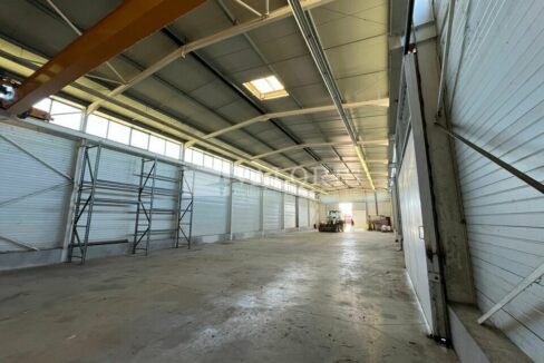 425575539_13_000262_10