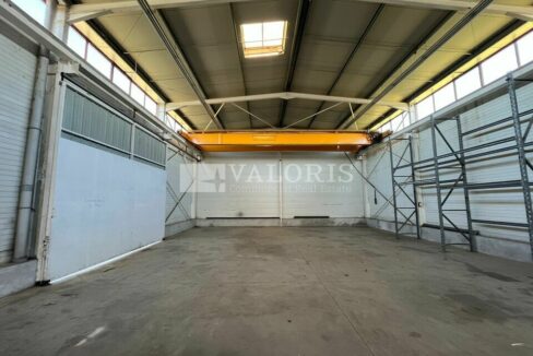 425582155_13_000262_13