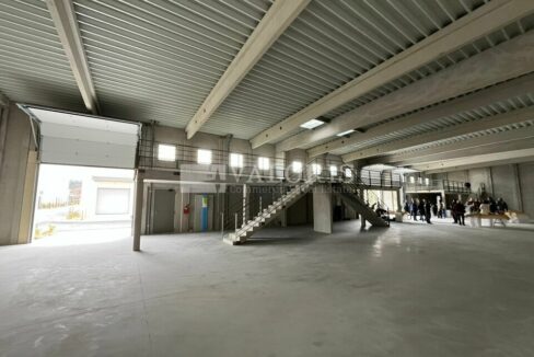 455336305_13_000294_5