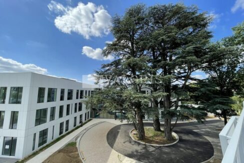 575198552_69_008181_3