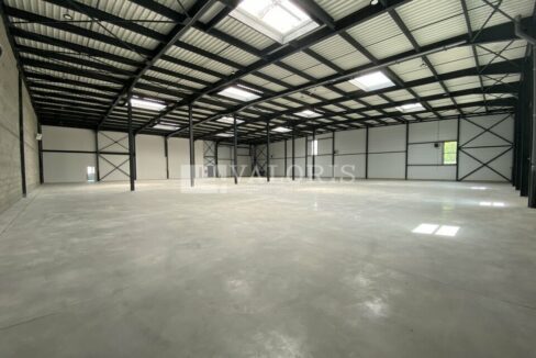 577484940_69_009270_2