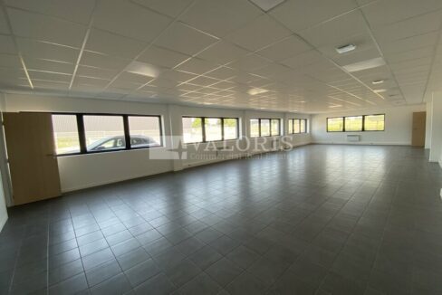 577570230_69_009270_3