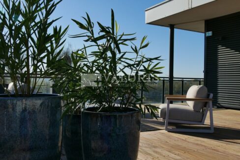 702925197_69_007759_5